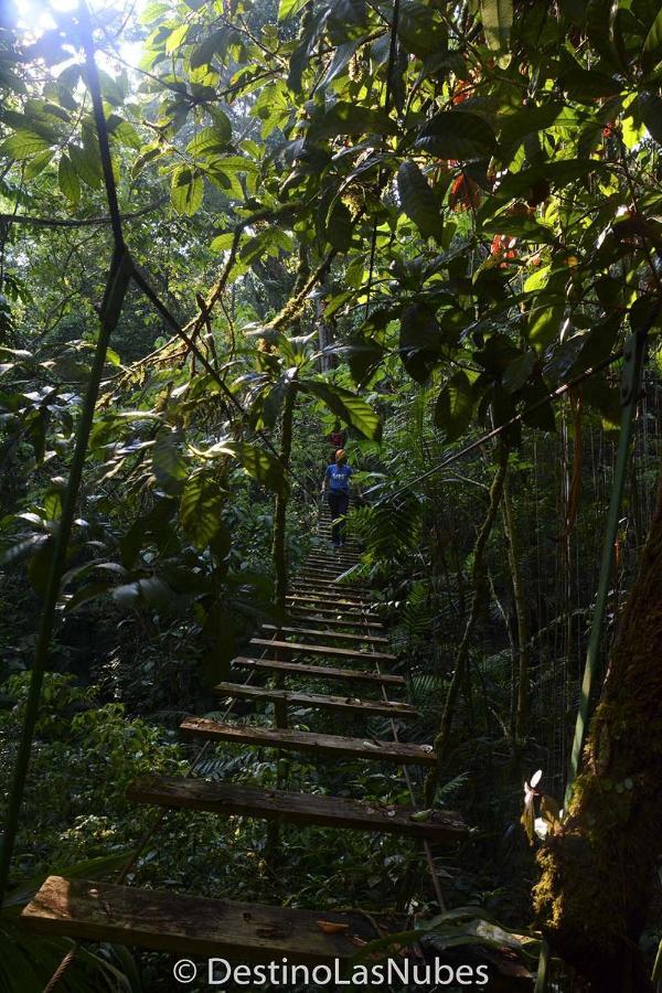 Ciudad De Las Rocas La Fortuna Gallo Giro Exterior foto
