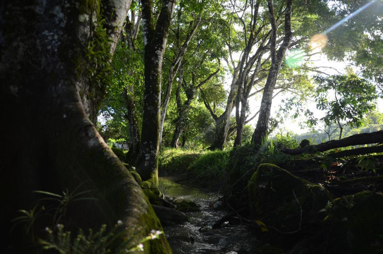 Ciudad De Las Rocas La Fortuna Gallo Giro Exterior foto